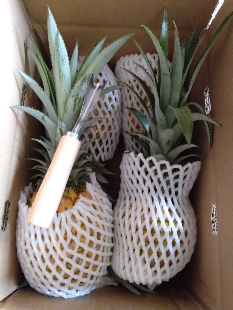 香水菠萝