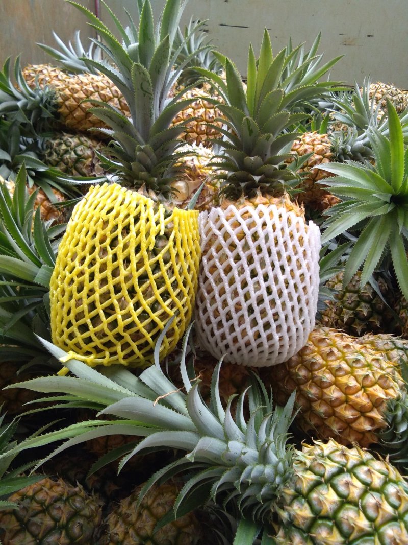 香水菠萝