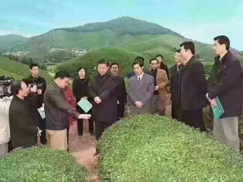 亿艾藤茶