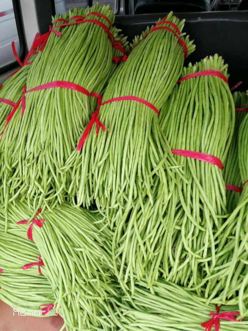【官方首推】长豆角产地直销价格实惠。质量保证