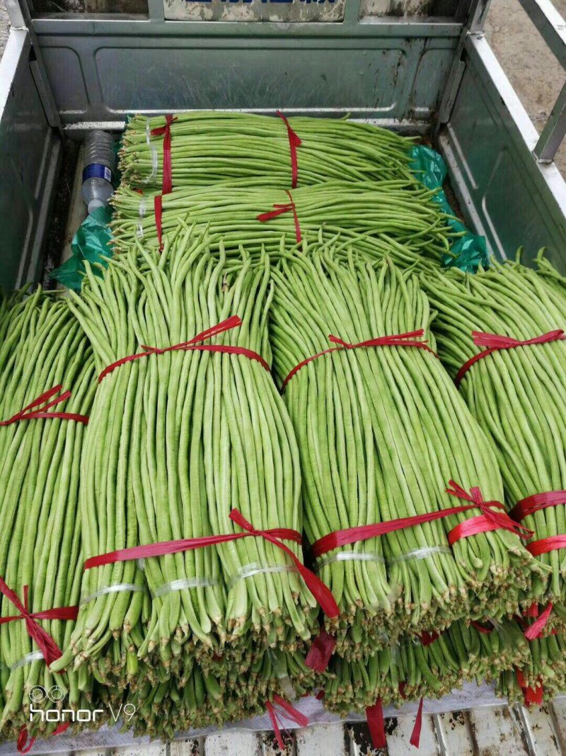 【官方首推】长豆角产地直销价格实惠。质量保证
