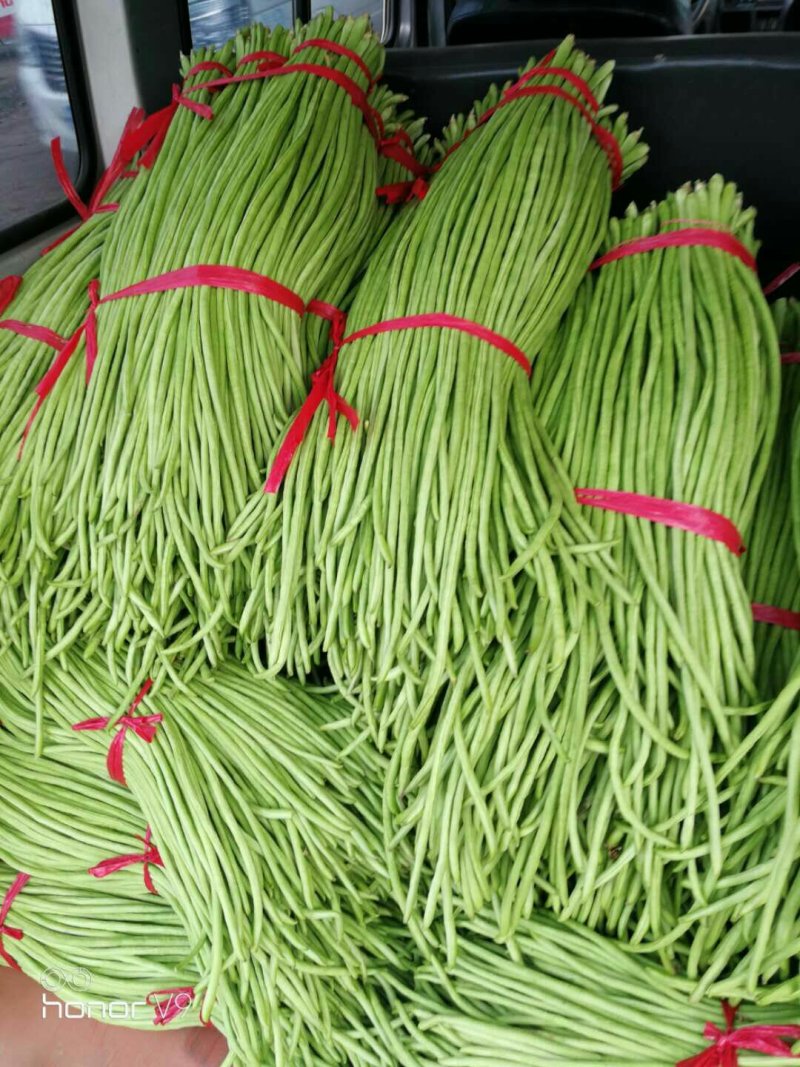 【官方首推】长豆角产地直销价格实惠。质量保证