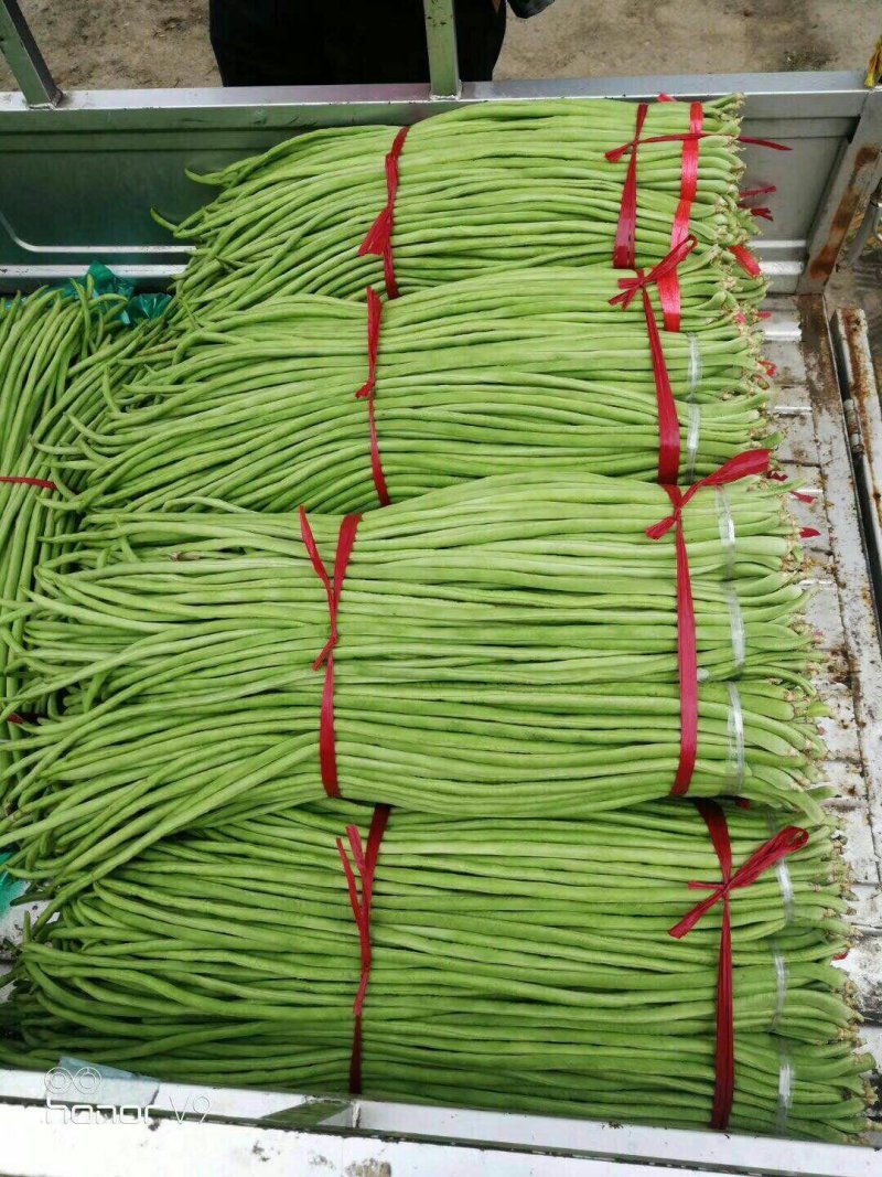【官方首推】长豆角产地直销价格实惠。质量保证