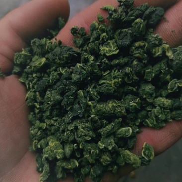 精品桑叶茶