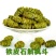 铁皮石斛