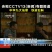 铁皮石斛