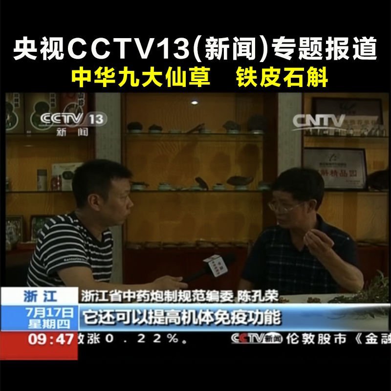 铁皮石斛