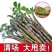 铁皮石斛