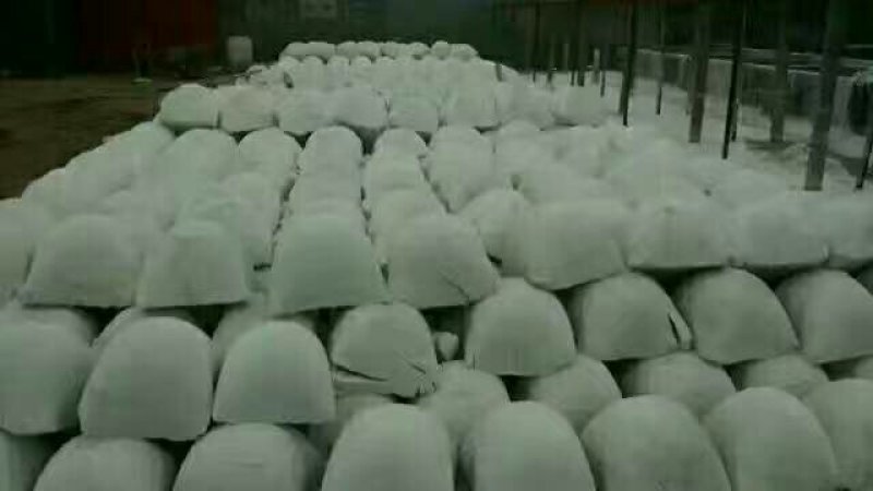 高淀粉系列红薯苗