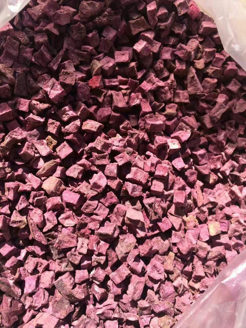 紫薯高淀粉系列红薯苗
