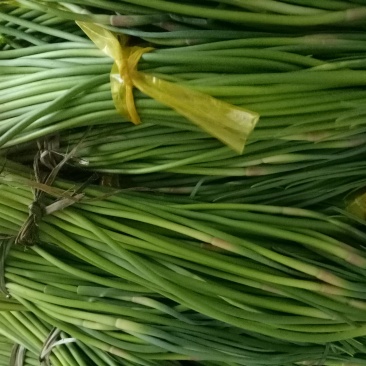 2019鲜蒜薹大量有货
