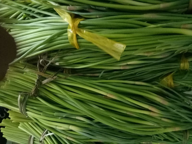2019鲜蒜薹大量有货