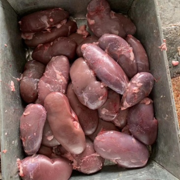 猪腰子猪肾新鲜保鲜