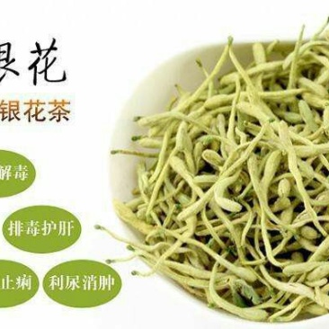 金银花无硫道地中药材长期供货