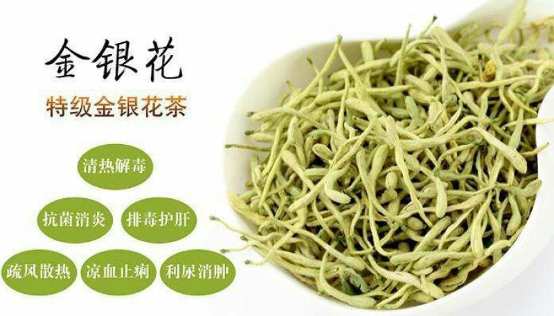 金银花无硫道地中药材长期供货