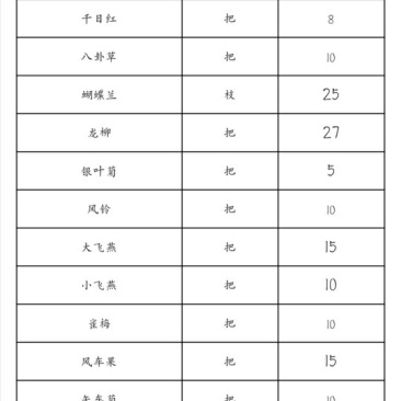 满天星，千万星，勿忘我，情人草