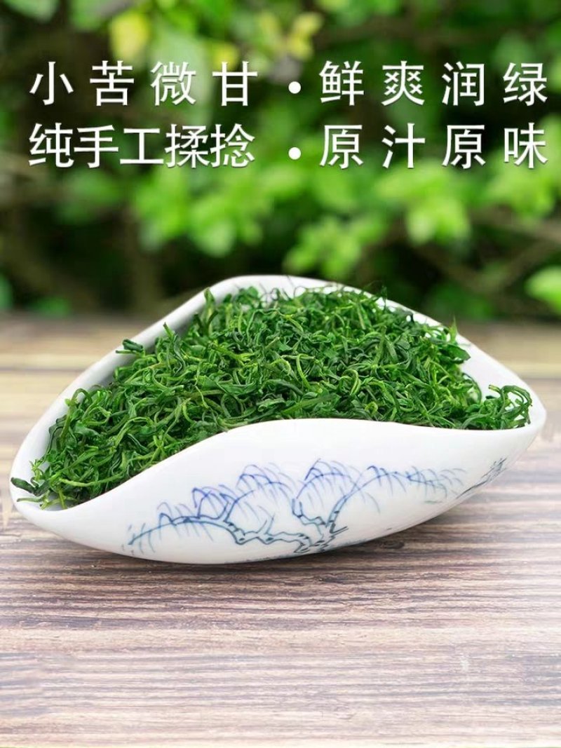 小叶苦丁茶直销一手货源