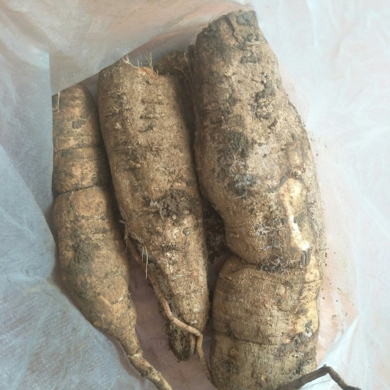 原生态拉冬瓜干货1斤起发货，数量有限，先到先得