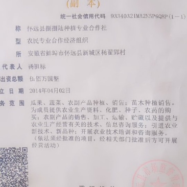 洋葱，大蒜，西红柿，毛豆等