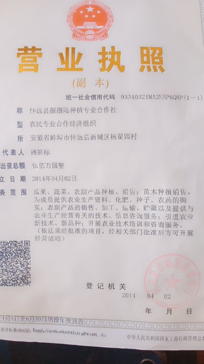 洋葱，大蒜，西红柿，毛豆等
