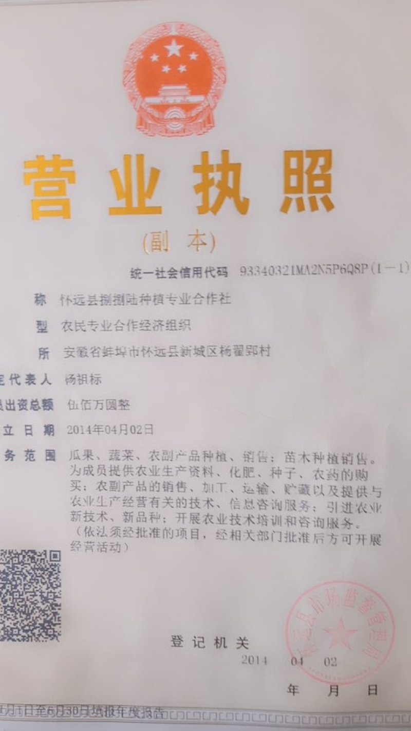 大量供应西红柿