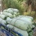 安徽芜湖冬瓜三山吊冬瓜白冬瓜条形好白粉多质量好