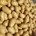 新鲜土豆大量上市荷兰15号土豆2两以上