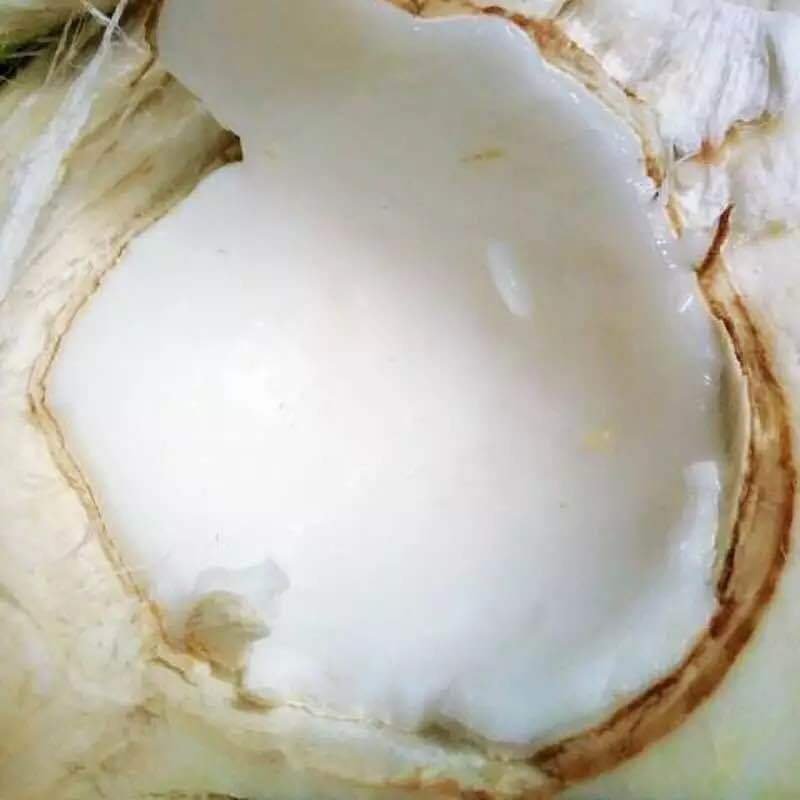 椰子