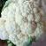 花菜,实花颜色白净,紧实。。。。。。。。
