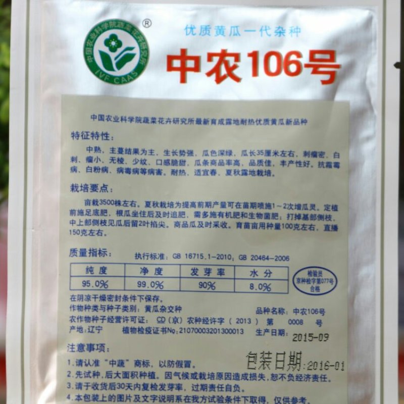 杂交黄瓜种子中农106油亮型耐高温高湿高产抗病密刺