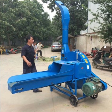 铡草揉丝机干湿两用铡草粉碎机自动进料铡草机