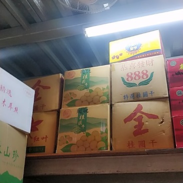桂圆果