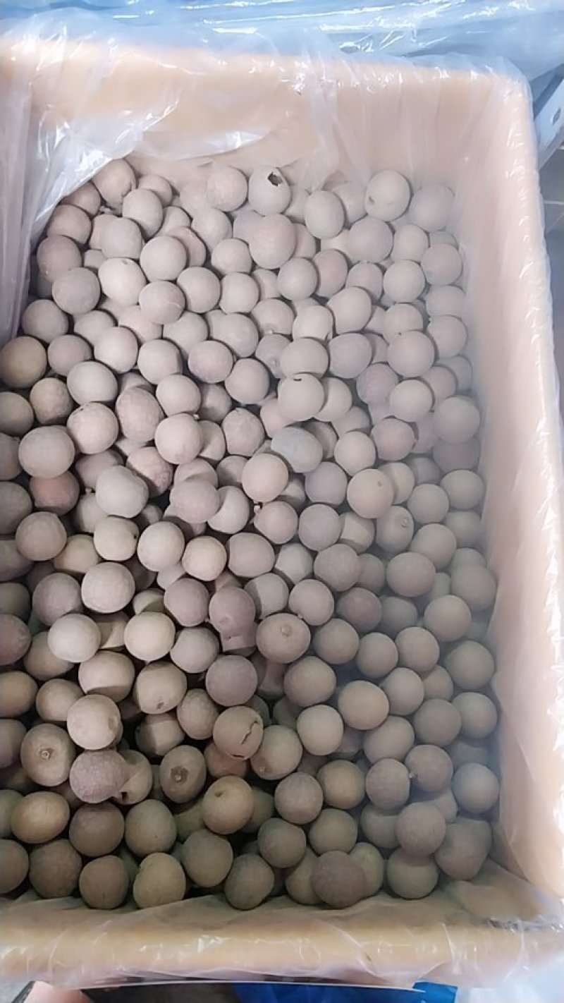 桂圆果