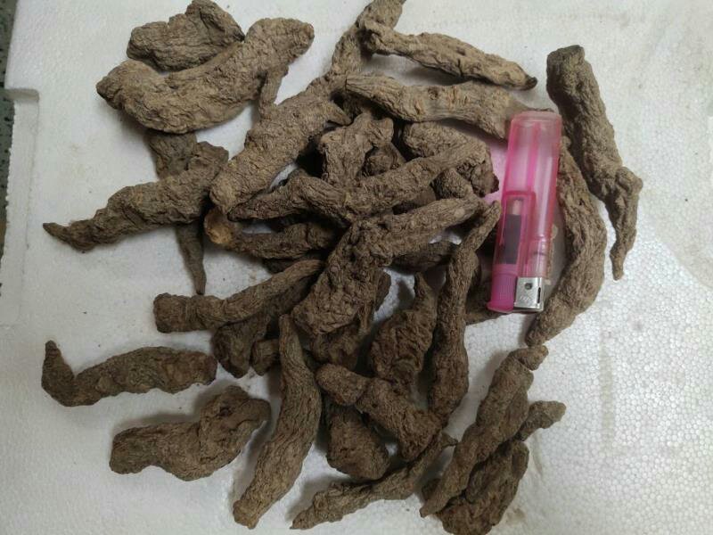 常年大量供应地黄，产地直供自产自销，含量足