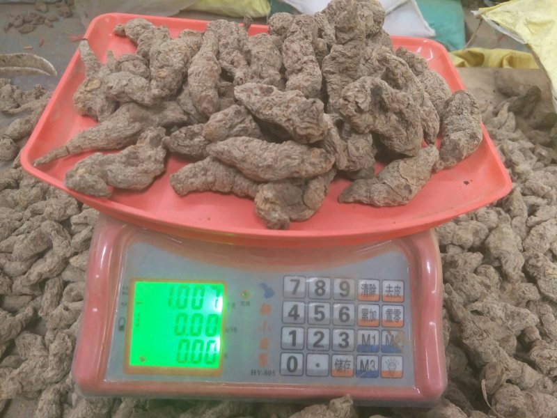 常年大量供应地黄，产地直供自产自销，含量足
