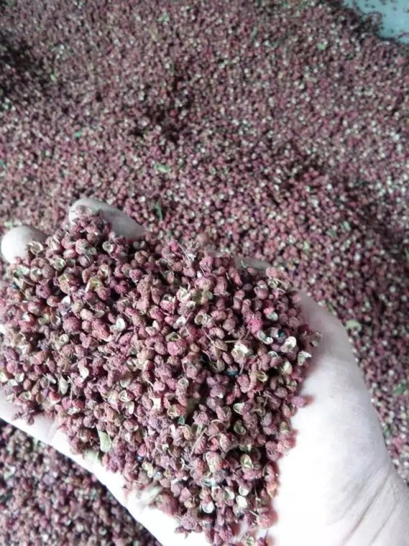 大红袍花椒，花椒