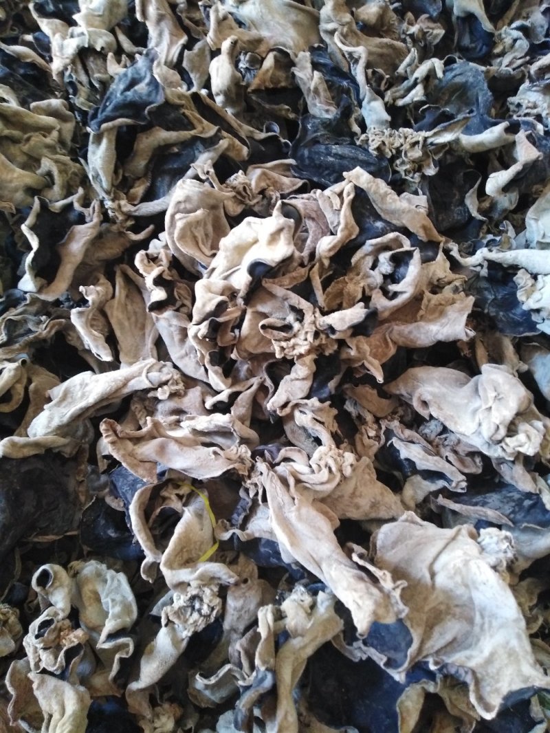 干木耳一级