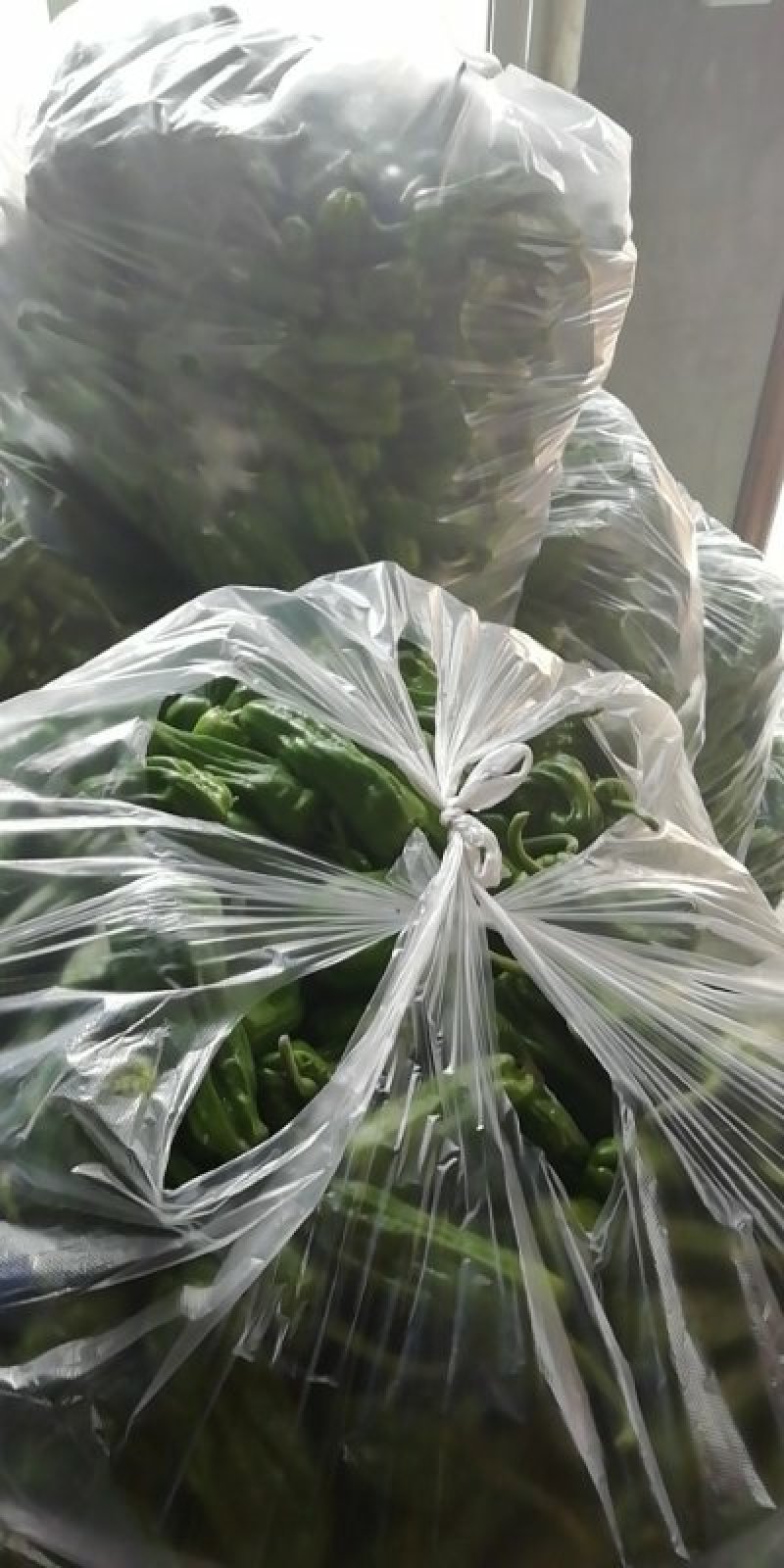 鲜辣椒，暂时还没有上市计划赶不上了！！