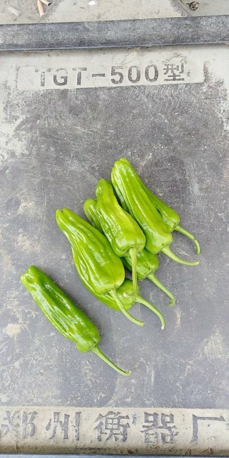鲜辣椒，暂时还没有上市计划赶不上了！！