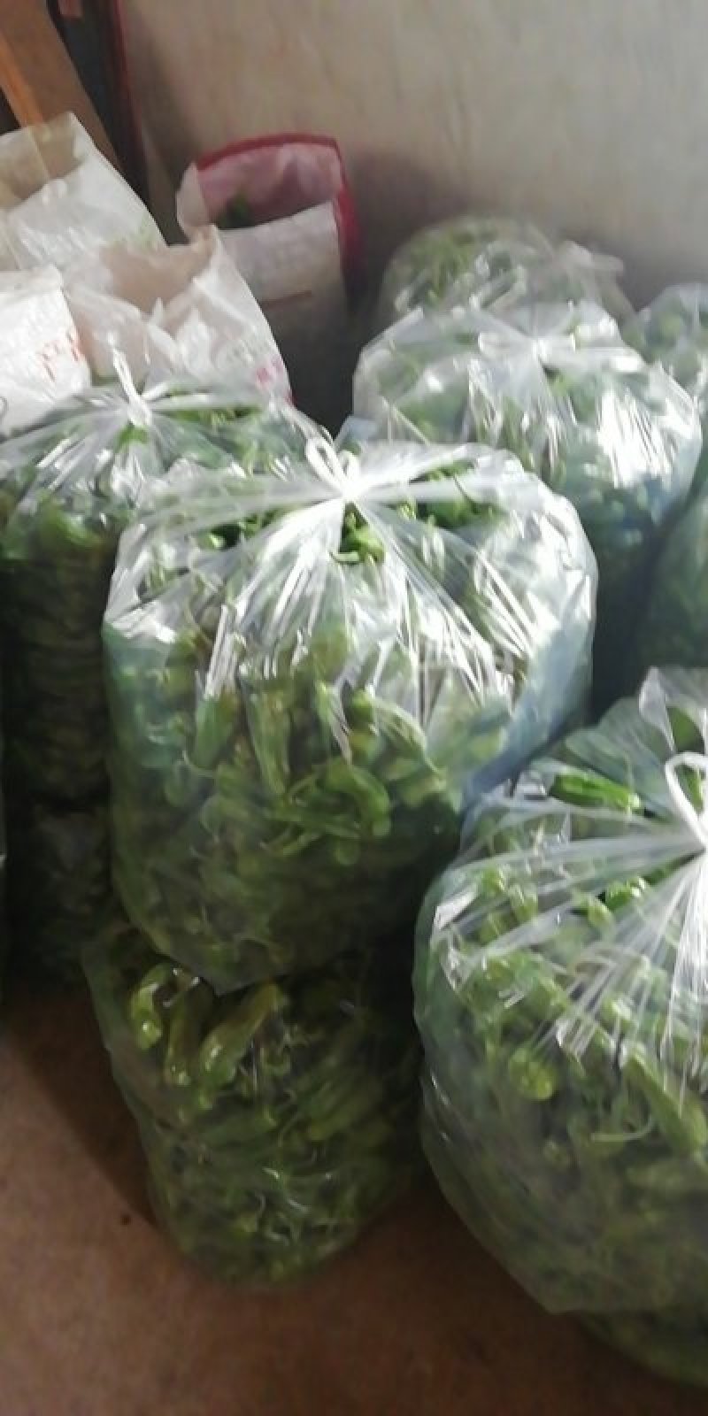 鲜辣椒，暂时还没有上市计划赶不上了！！