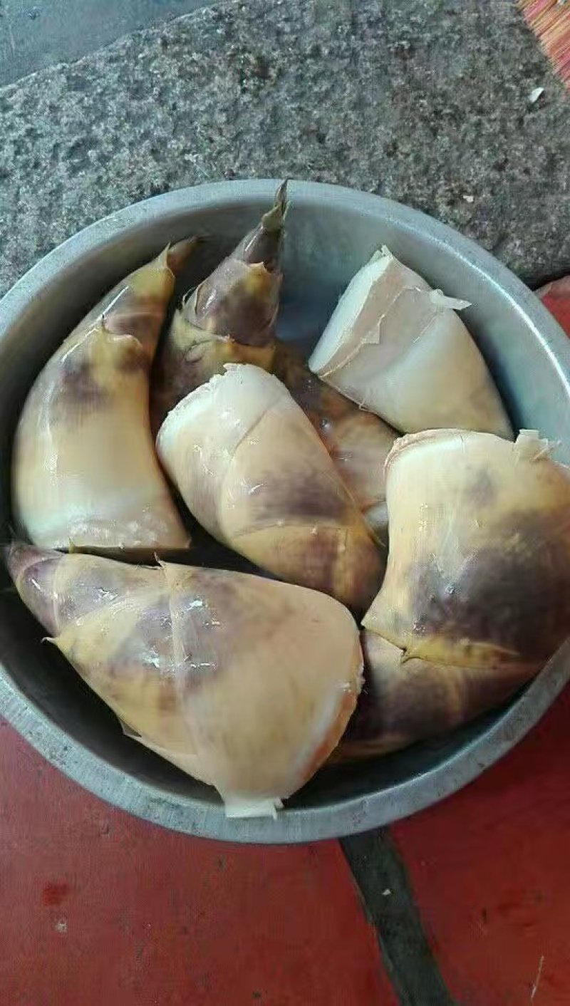 马蹄笋批发，有需要可以合作，，，，，，，，，
