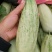 羊角脆甜瓜0.5斤以上