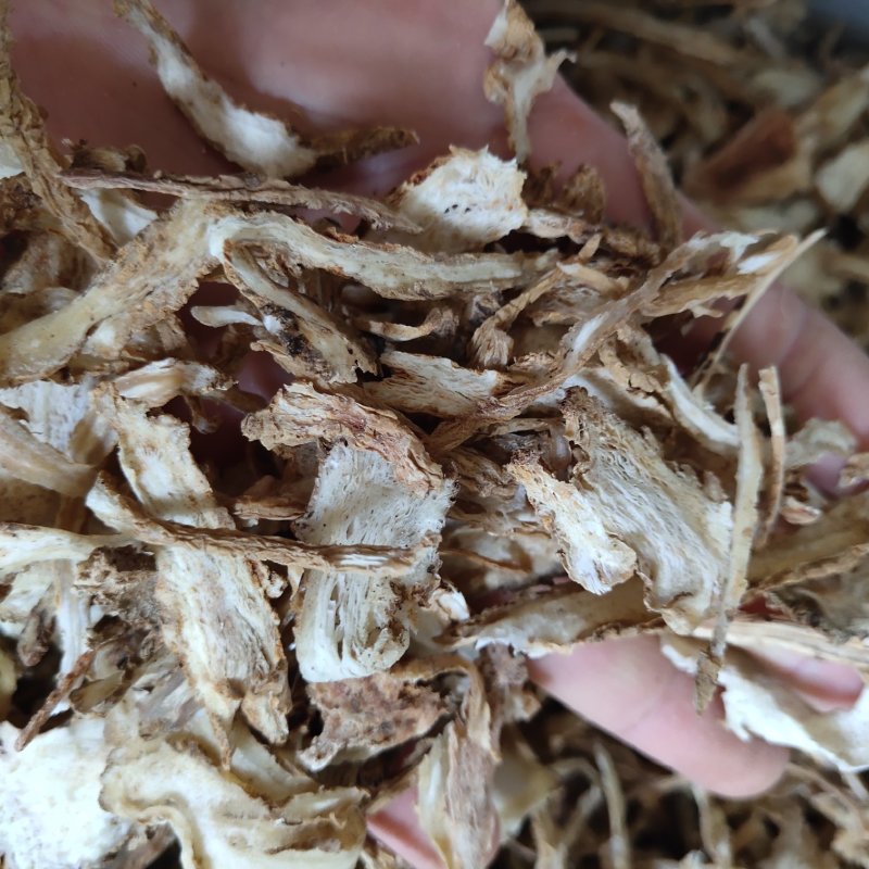 当归全归新货0.2筛关书药业批发中药材