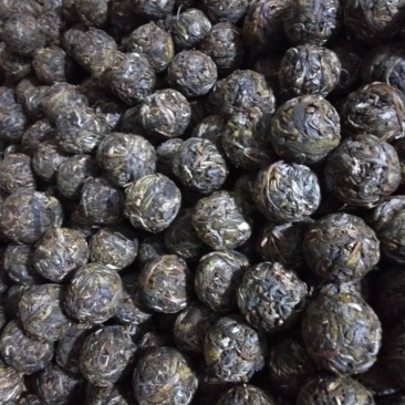 古树茶
