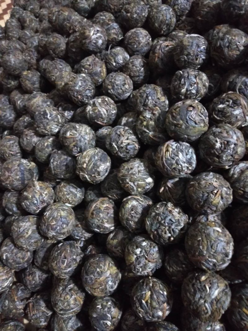 古树茶