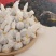 古树茶
