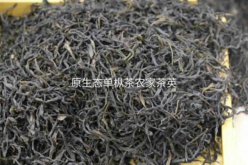 凤凰单枞茶