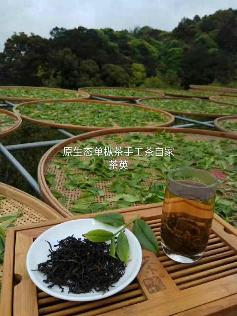凤凰单枞茶