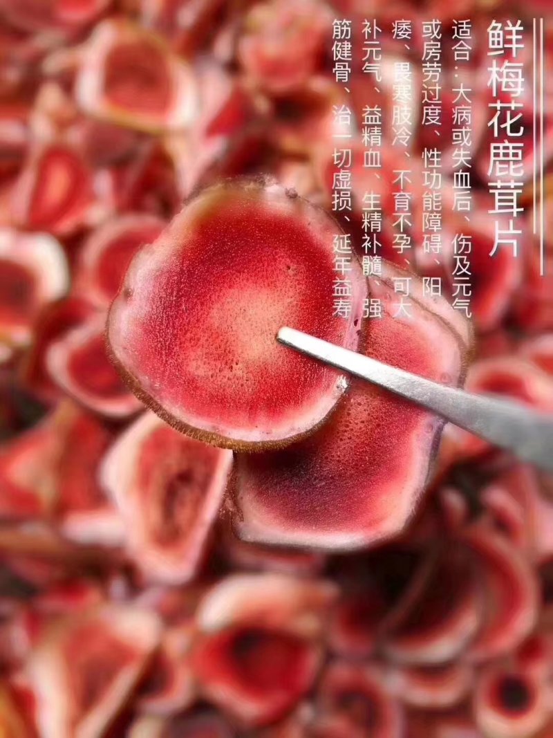 鲜鹿茸片