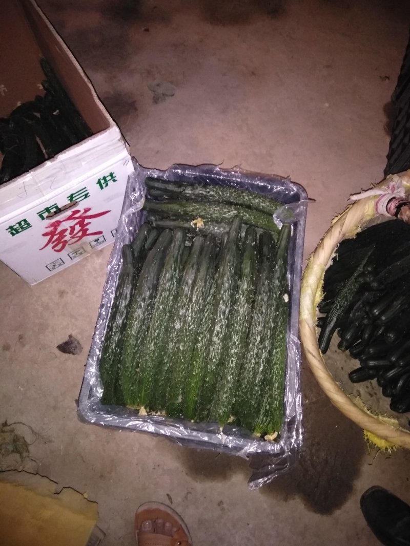 精品黄瓜